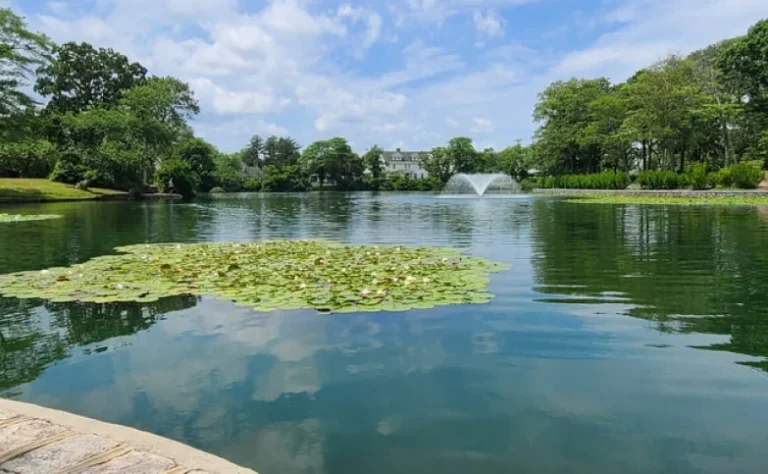 a lake with lily pads on it and a fountain spraying water in the middle of it